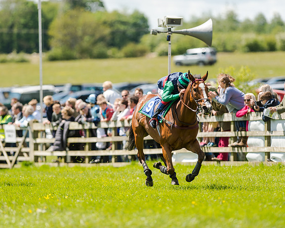 148cm Pony race - Grafton Pony Races 15th May 2017