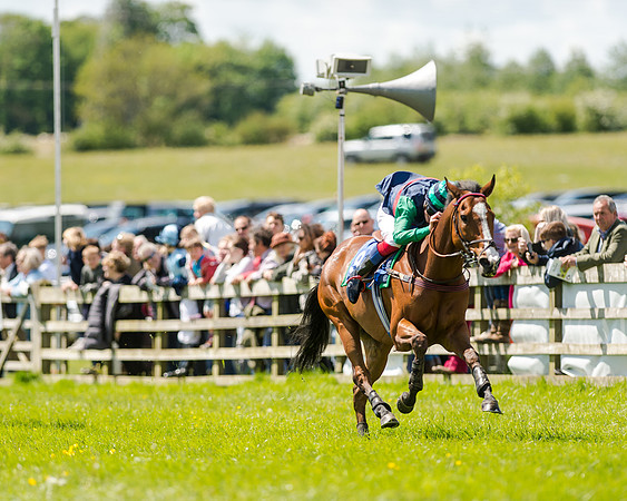 148cm Pony race - Grafton Pony Races 15th May 2017