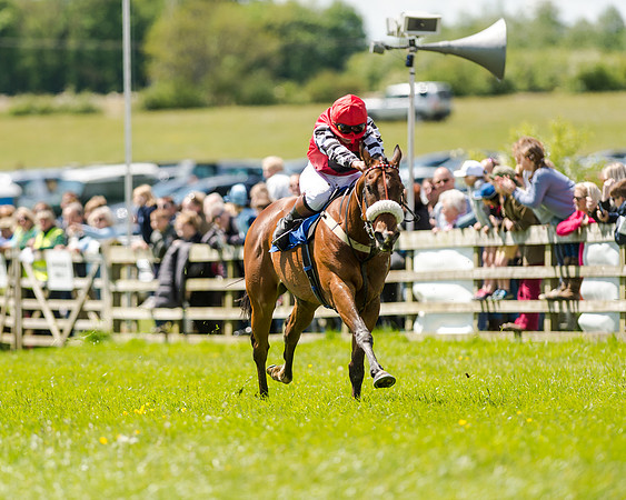 148cm Pony race - Grafton Pony Races 15th May 2017