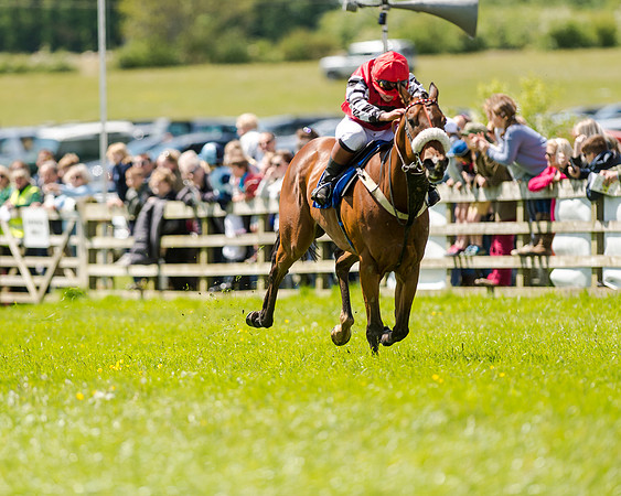 148cm Pony race - Grafton Pony Races 15th May 2017