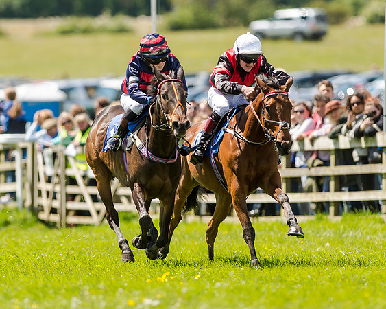 148cm Pony race - Grafton Pony Races 15th May 2017