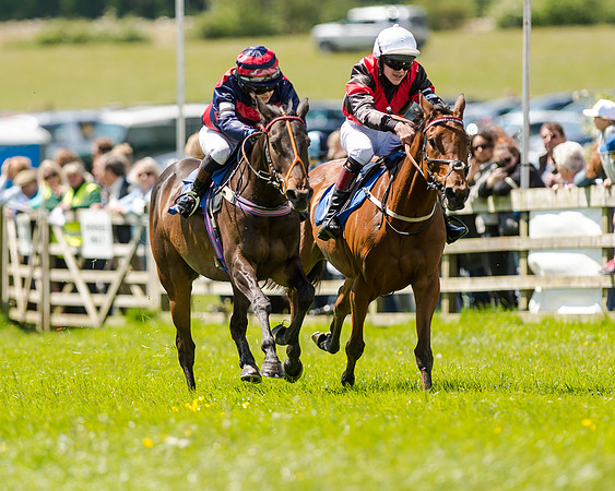 148cm Pony race - Grafton Pony Races 15th May 2017