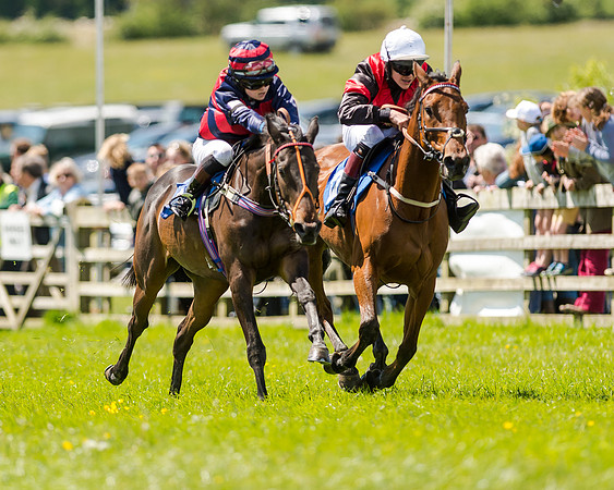 148cm Pony race - Grafton Pony Races 15th May 2017