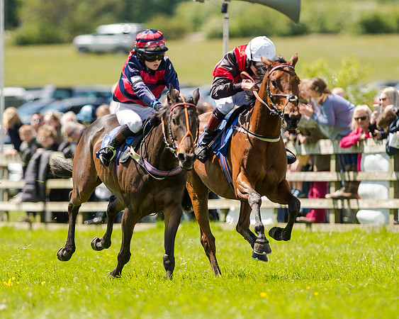 148cm Pony race - Grafton Pony Races 15th May 2017
