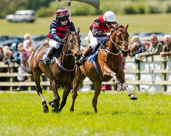 148cm Pony race - Grafton Pony Races 15th May 2017