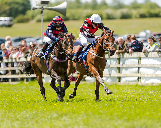 148cm Pony race - Grafton Pony Races 15th May 2017