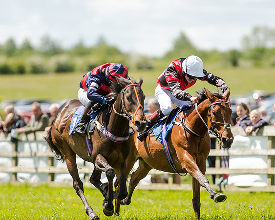 148cm Pony race - Grafton Pony Races 15th May 2017