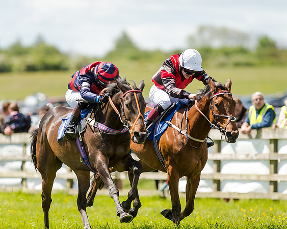 148cm Pony race - Grafton Pony Races 15th May 2017