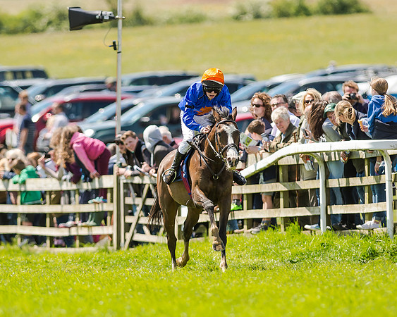 148cm Pony race - Grafton Pony Races 15th May 2017