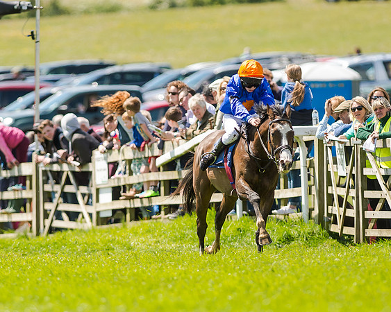 148cm Pony race - Grafton Pony Races 15th May 2017