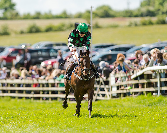 148cm Pony race - Grafton Pony Races 15th May 2017