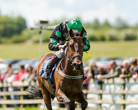 148cm Pony race - Grafton Pony Races 15th May 2017