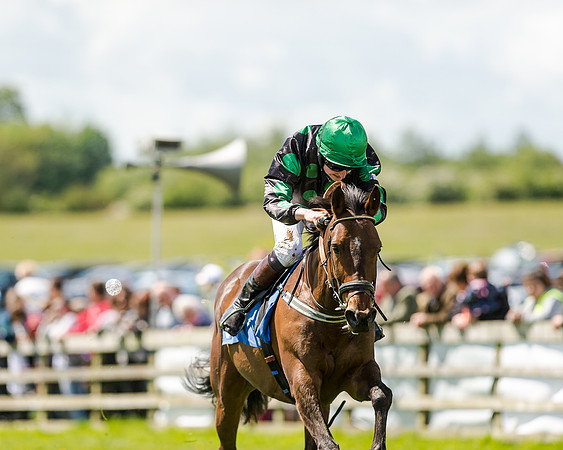 148cm Pony race - Grafton Pony Races 15th May 2017