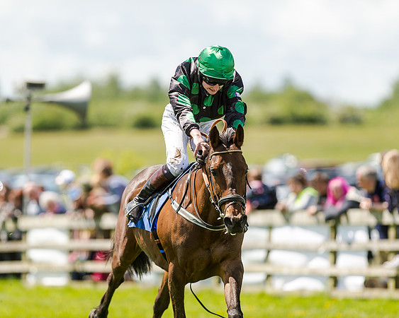 148cm Pony race - Grafton Pony Races 15th May 2017
