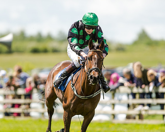 148cm Pony race - Grafton Pony Races 15th May 2017