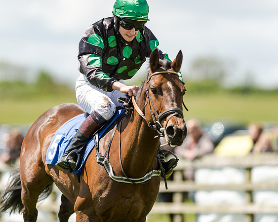 148cm Pony race - Grafton Pony Races 15th May 2017