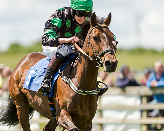 148cm Pony race - Grafton Pony Races 15th May 2017