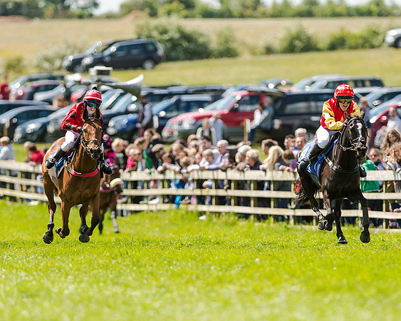 148cm Pony race - Grafton Pony Races 15th May 2017