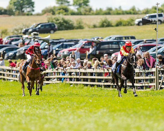 148cm Pony race - Grafton Pony Races 15th May 2017