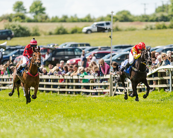 148cm Pony race - Grafton Pony Races 15th May 2017
