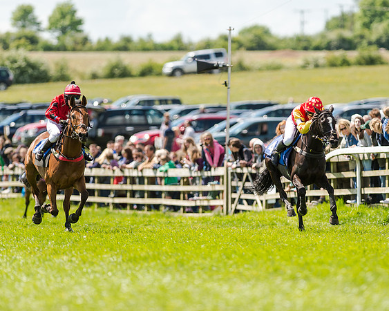 148cm Pony race - Grafton Pony Races 15th May 2017