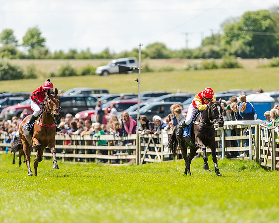 148cm Pony race - Grafton Pony Races 15th May 2017