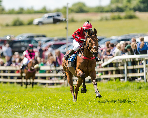 148cm Pony race - Grafton Pony Races 15th May 2017