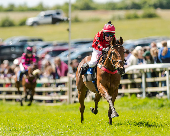 148cm Pony race - Grafton Pony Races 15th May 2017
