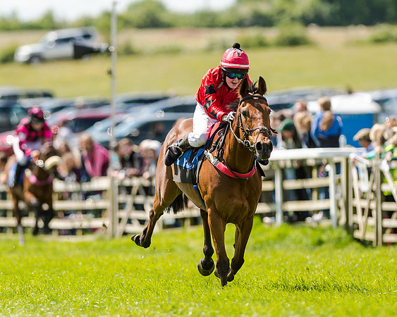 148cm Pony race - Grafton Pony Races 15th May 2017