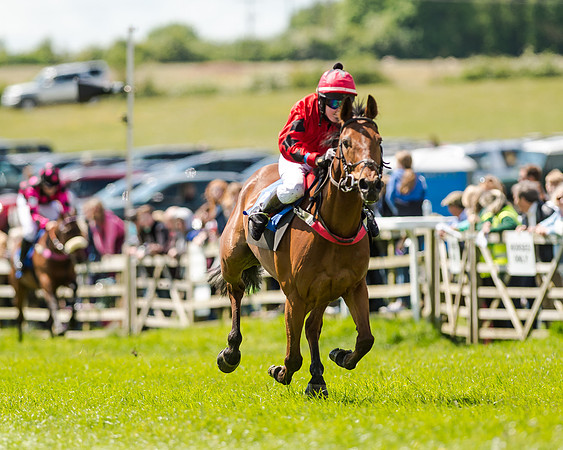 148cm Pony race - Grafton Pony Races 15th May 2017