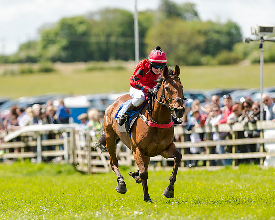 148cm Pony race - Grafton Pony Races 15th May 2017