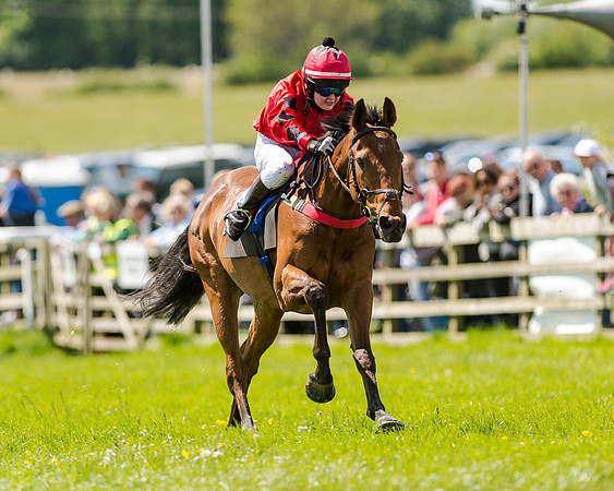 148cm Pony race - Grafton Pony Races 15th May 2017