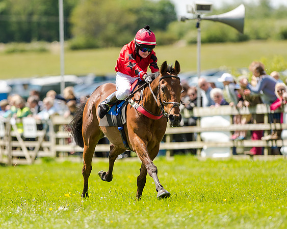 148cm Pony race - Grafton Pony Races 15th May 2017