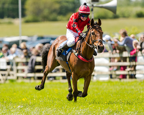 148cm Pony race - Grafton Pony Races 15th May 2017