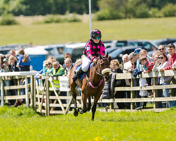 148cm Pony race - Grafton Pony Races 15th May 2017