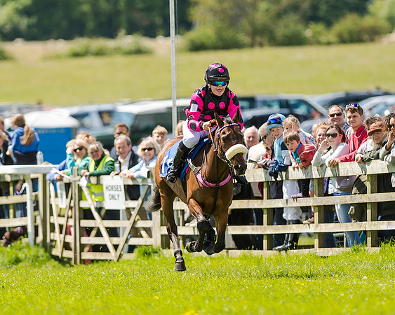148cm Pony race - Grafton Pony Races 15th May 2017