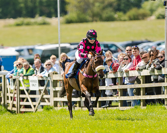 148cm Pony race - Grafton Pony Races 15th May 2017