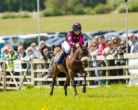 148cm Pony race - Grafton Pony Races 15th May 2017