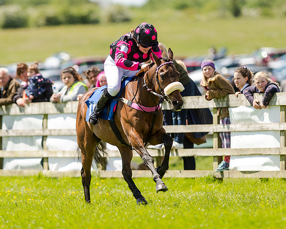 148cm Pony race - Grafton Pony Races 15th May 2017