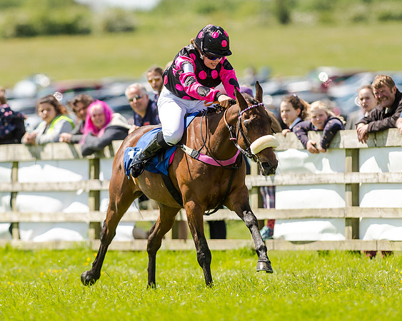 148cm Pony race - Grafton Pony Races 15th May 2017