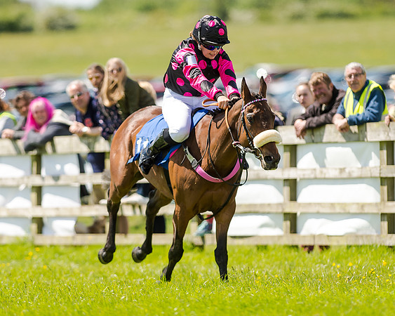 148cm Pony race - Grafton Pony Races 15th May 2017