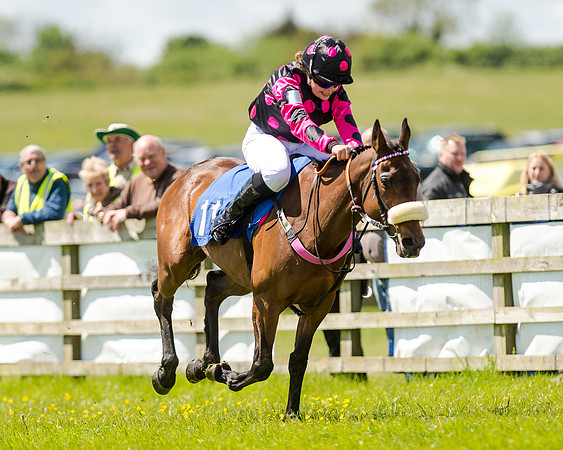 148cm Pony race - Grafton Pony Races 15th May 2017