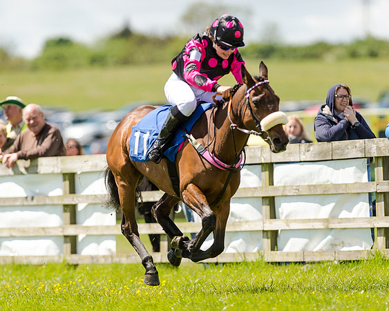 148cm Pony race - Grafton Pony Races 15th May 2017