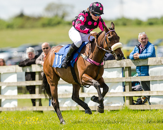 148cm Pony race - Grafton Pony Races 15th May 2017