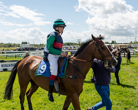 148cm Pony race - Grafton Pony Races 15th May 2017