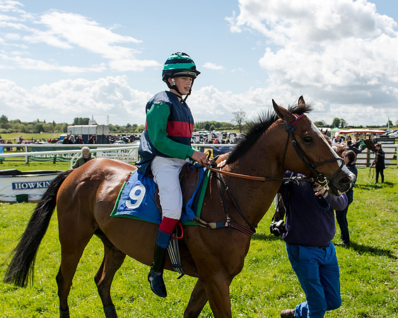148cm Pony race - Grafton Pony Races 15th May 2017