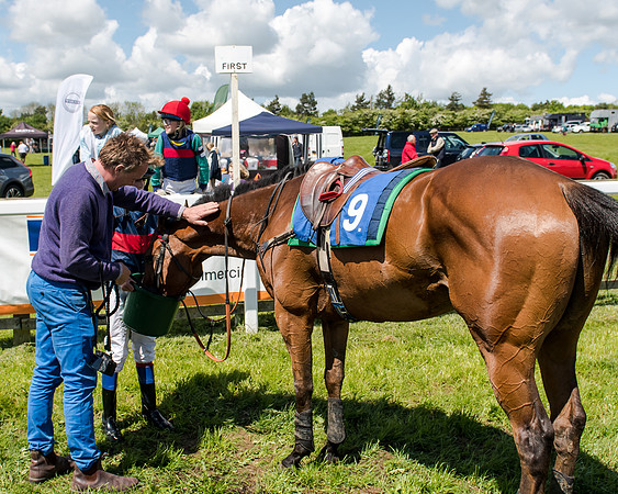 148cm Pony race - Grafton Pony Races 15th May 2017