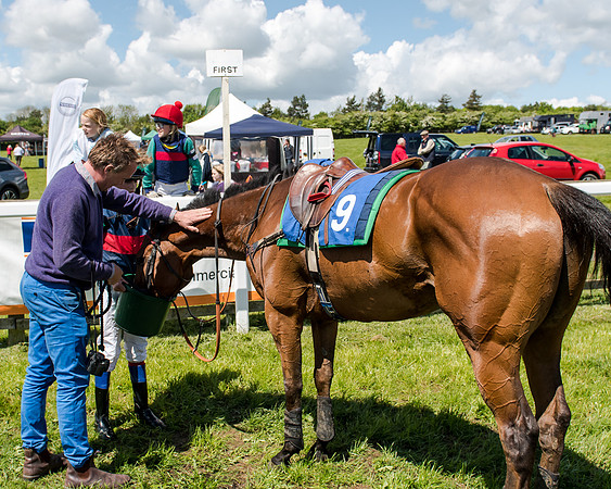 148cm Pony race - Grafton Pony Races 15th May 2017