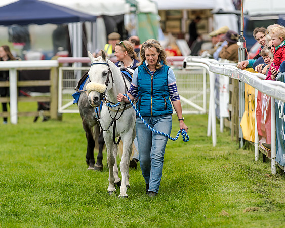 Novice Riders 148cm Race -  Grafton Pony Races 15th May 2017