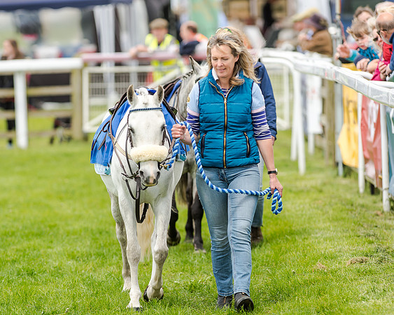 Novice Riders 148cm Race -  Grafton Pony Races 15th May 2017